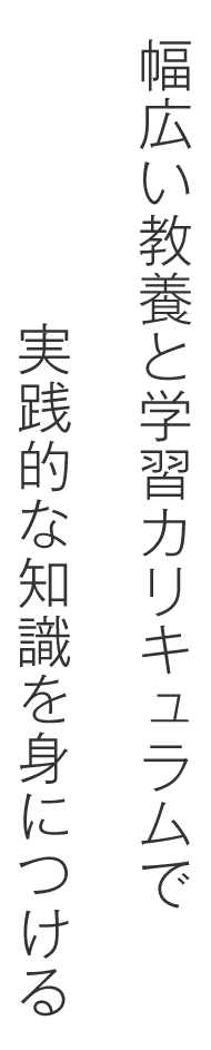 幅広い教養と学習カリキュラムで実践的な知識を身につける